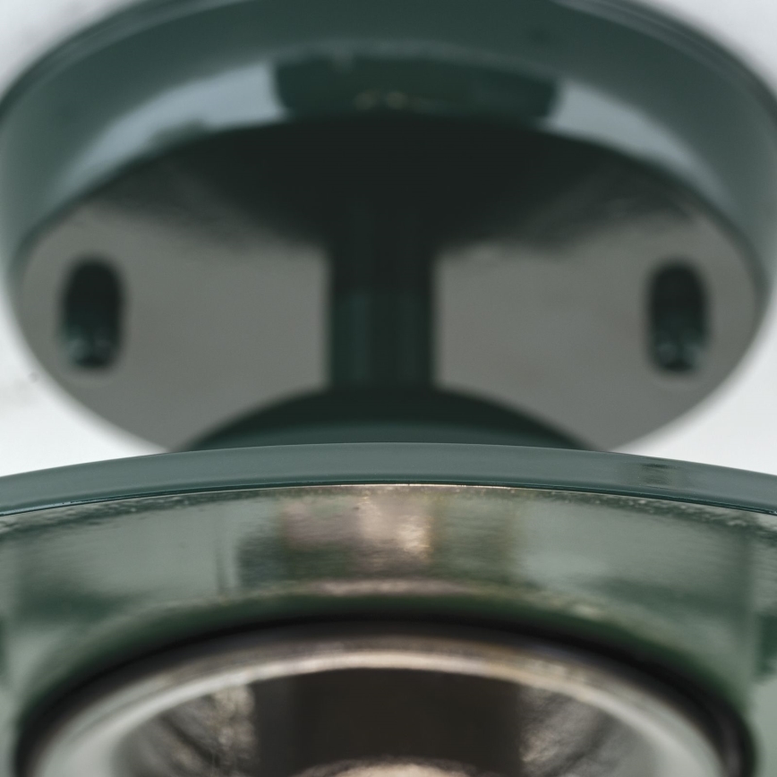 Kiinnitettävä kattokruunu ulkokäyttöön EDWARD 1xE27/60W/230V IP44 vihreä