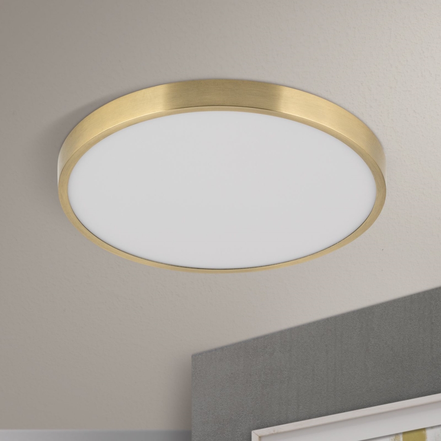 LED-kattovalaisin BULLY LED/28W/230V halkaisija 28 cm kulta
