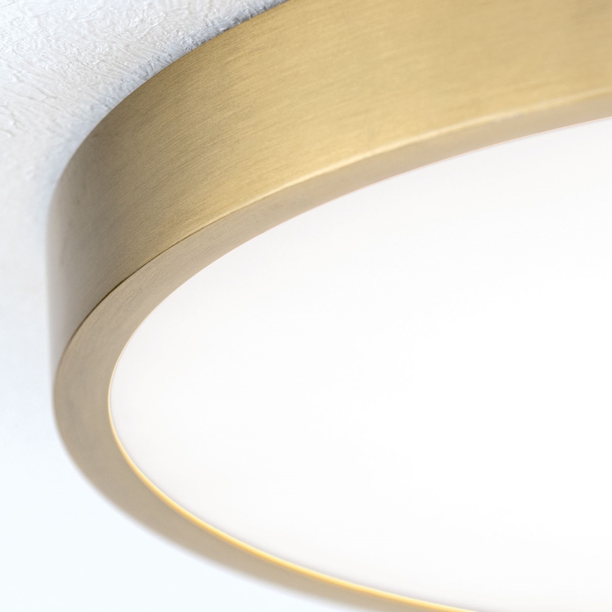 LED-kattovalaisin BULLY LED/28W/230V halkaisija 28 cm kulta