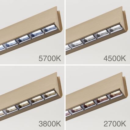 Himmennettävä LED-kattokruunu johdossa TARA LED/44W/230V 2700/3800/4500/5700K kulta