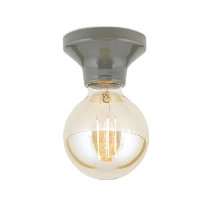 Kattovalaisin FROST 1xE27/60W/230V harmaa