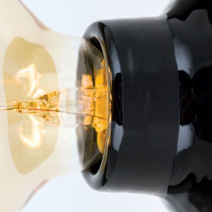 Kattovalaisin FROST 1xE27/60W/230V musta