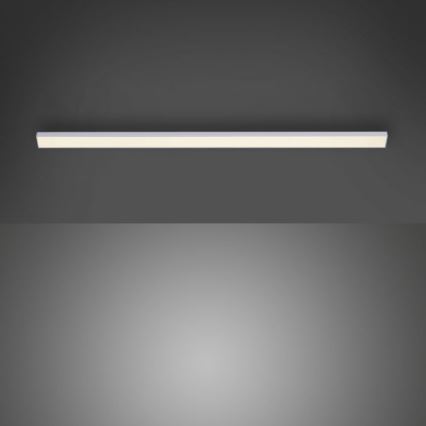 Paul Neuhaus 1125-21-A - LED Pidennys under keittiö cabinet kevyt AMON LED/6W/12/230V