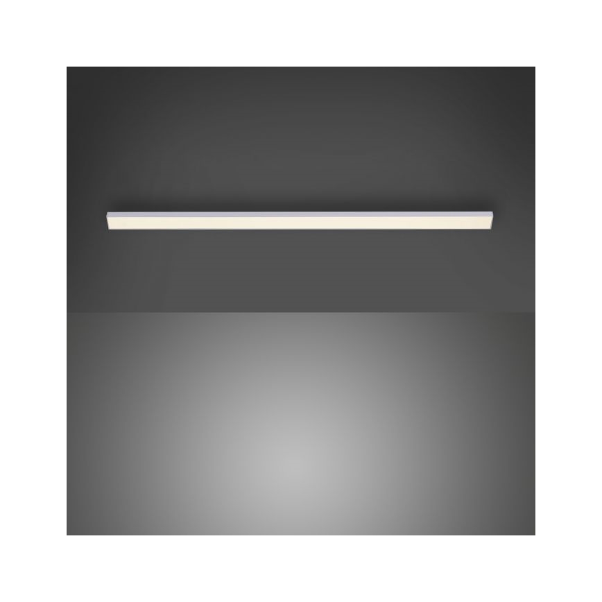 Paul Neuhaus 1125-21-A - LED Pidennys under keittiö cabinet kevyt AMON LED/6W/12/230V