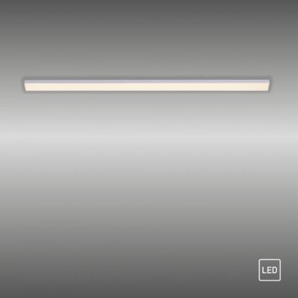 Paul Neuhaus 1125-21-A - LED Pidennys under keittiö cabinet kevyt AMON LED/6W/12/230V