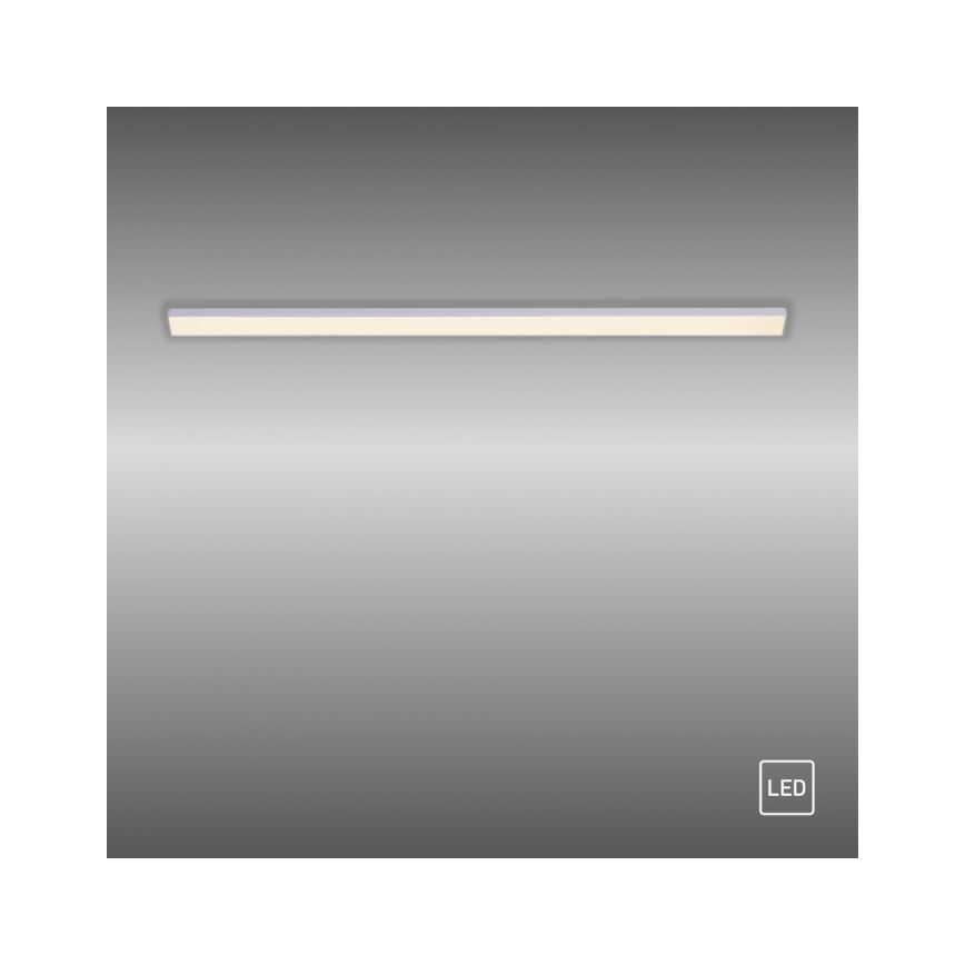 Paul Neuhaus 1125-21-A - LED Pidennys under keittiö cabinet kevyt AMON LED/6W/12/230V