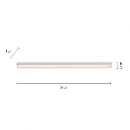 Paul Neuhaus 1125-21-A - LED Pidennys under keittiö cabinet kevyt AMON LED/6W/12/230V