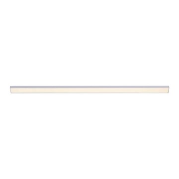 Paul Neuhaus 1125-21-A - LED Pidennys under keittiö cabinet kevyt AMON LED/6W/12/230V