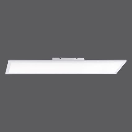 Paul Neuhaus 16533-16-O - LED Himmennettävä pinta-asetettava paneeli FLAT LED/24W/230V 2700-5000K valkoinen + kauko-ohjain