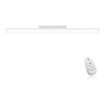 Paul Neuhaus 16537-16-O - LED Himmennettävä pinta-asetettava paneeli FLAT LED/21W/230V + kauko-ohjain