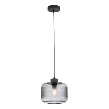 Paul Neuhaus 2005-25 - Kattokruunu johdossa BOLETUS 1xE27/10W/230V halkaisija 23,5 cm harmaa