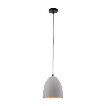 Paul Neuhaus 2231-22 - Kattovalo johdossa ETON 1xE27/40W/230V