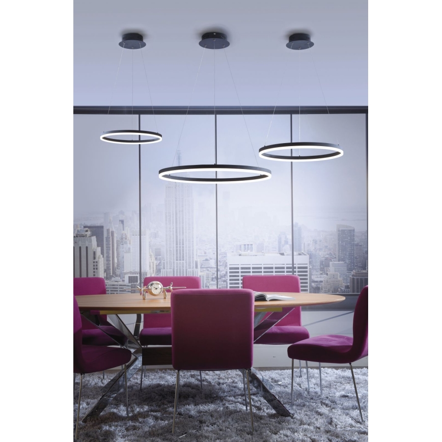 Paul Neuhaus 2381-13 - LED Himmenenttävä kattokruunu johdossa TITUS LED/28W/230V