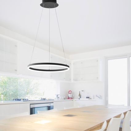 Paul Neuhaus 2381-13 - LED Himmenenttävä kattokruunu johdossa TITUS LED/28W/230V