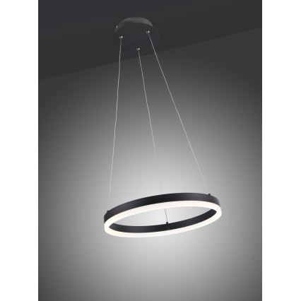 Paul Neuhaus 2381-13 - LED Himmenenttävä kattokruunu johdossa TITUS LED/28W/230V
