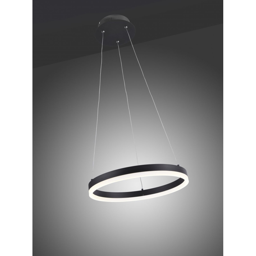 Paul Neuhaus 2381-13 - LED Himmenenttävä kattokruunu johdossa TITUS LED/28W/230V