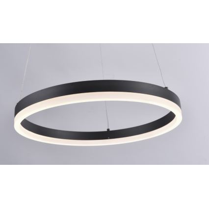 Paul Neuhaus 2381-13 - LED Himmenenttävä kattokruunu johdossa TITUS LED/28W/230V