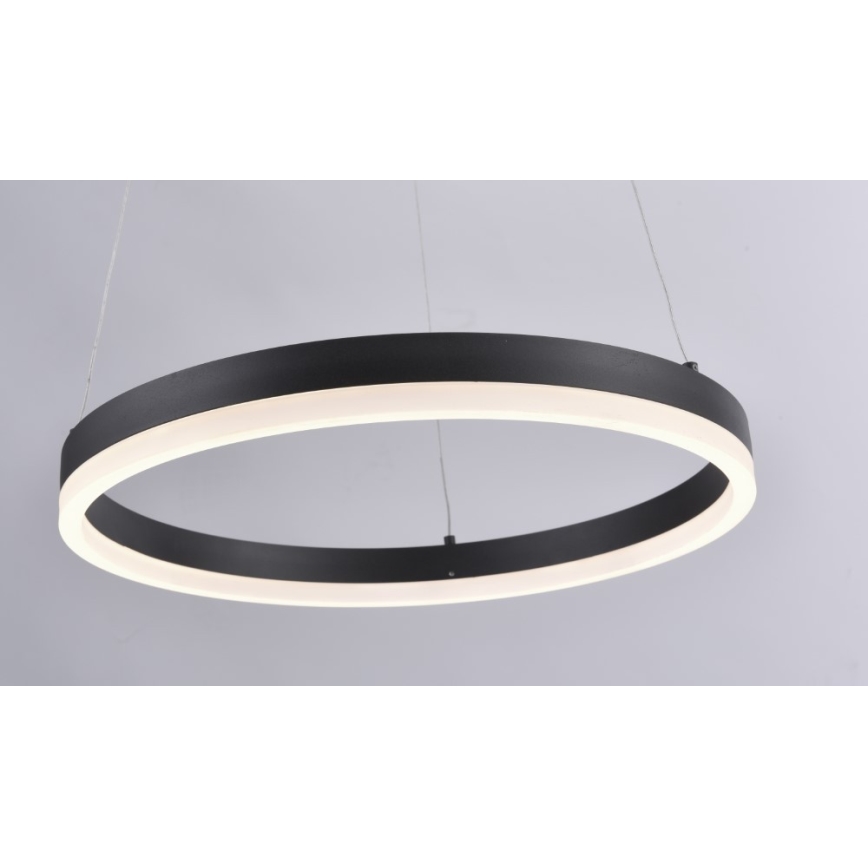 Paul Neuhaus 2381-13 - LED Himmenenttävä kattokruunu johdossa TITUS LED/28W/230V