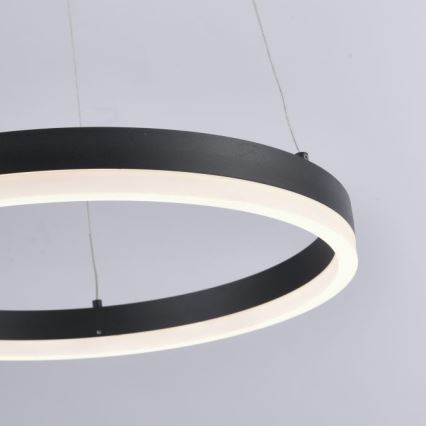 Paul Neuhaus 2381-13 - LED Himmenenttävä kattokruunu johdossa TITUS LED/28W/230V