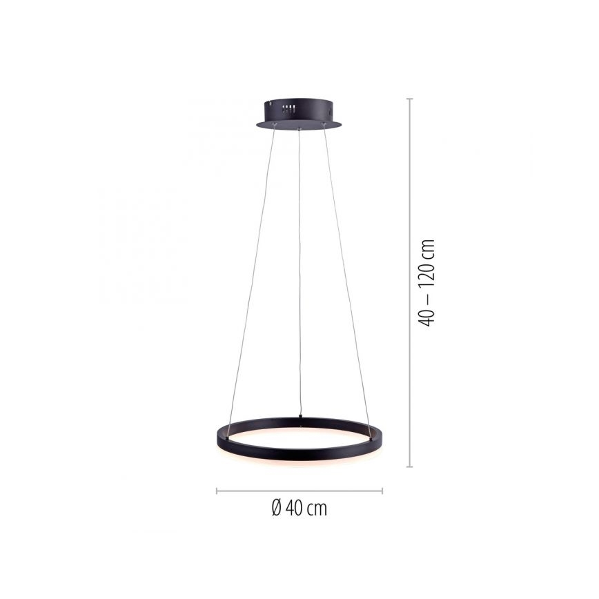 Paul Neuhaus 2381-13 - LED Himmenenttävä kattokruunu johdossa TITUS LED/28W/230V