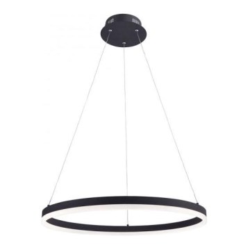 Paul Neuhaus 2382-13 - LED Himmennettävä kattokruunu johdossa TITUS LED/38,5W/230V
