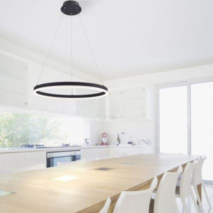 Paul Neuhaus 2382-13 - LED Himmennettävä kattokruunu johdossa TITUS LED/38,5W/230V