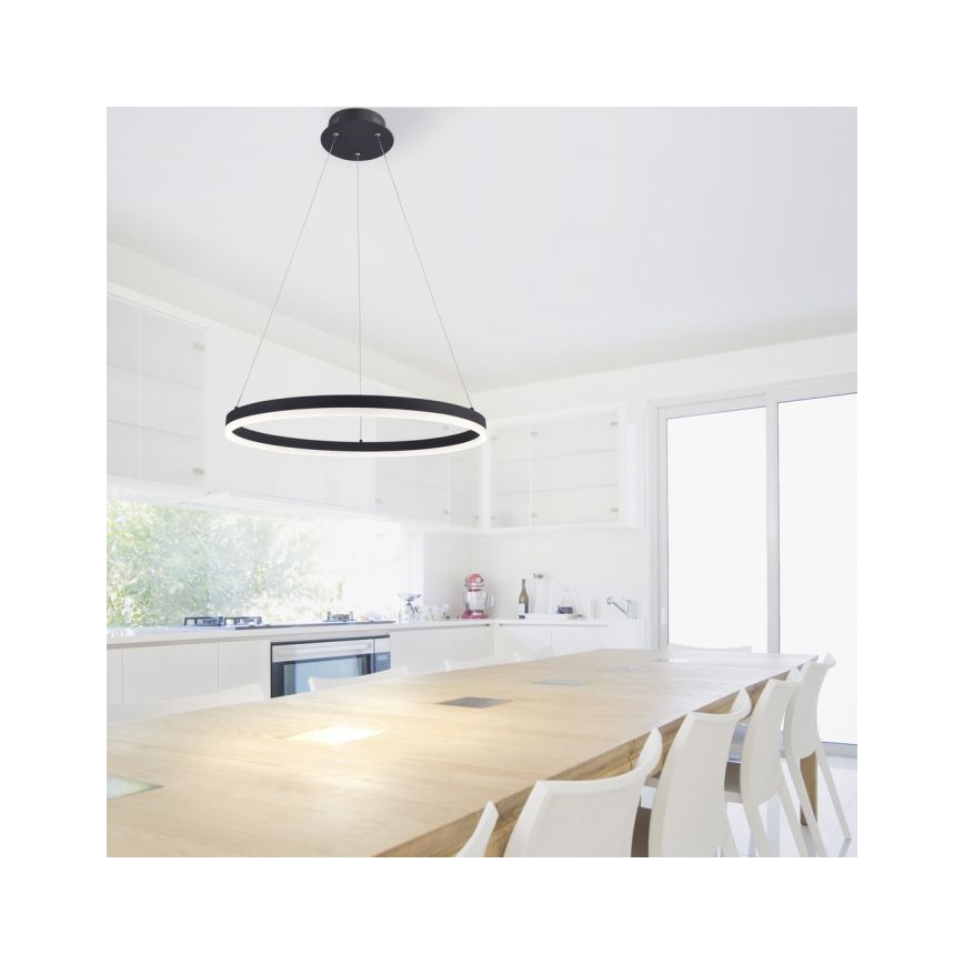 Paul Neuhaus 2382-13 - LED Himmennettävä kattokruunu johdossa TITUS LED/38,5W/230V