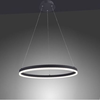 Paul Neuhaus 2382-13 - LED Himmennettävä kattokruunu johdossa TITUS LED/38,5W/230V