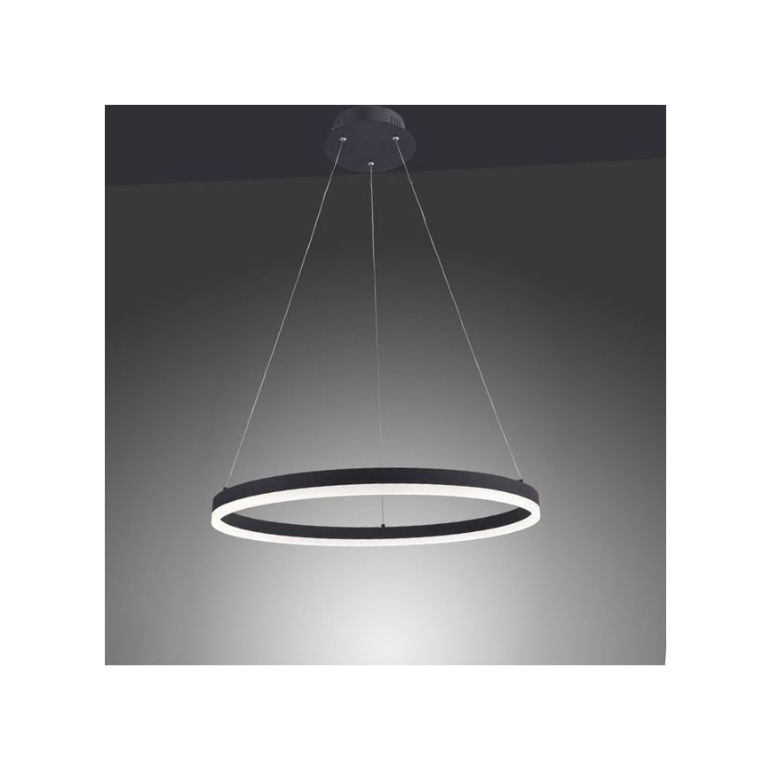 Paul Neuhaus 2382-13 - LED Himmennettävä kattokruunu johdossa TITUS LED/38,5W/230V