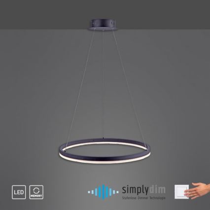 Paul Neuhaus 2382-13 - LED Himmennettävä kattokruunu johdossa TITUS LED/38,5W/230V