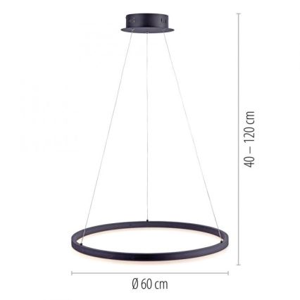 Paul Neuhaus 2382-13 - LED Himmennettävä kattokruunu johdossa TITUS LED/38,5W/230V