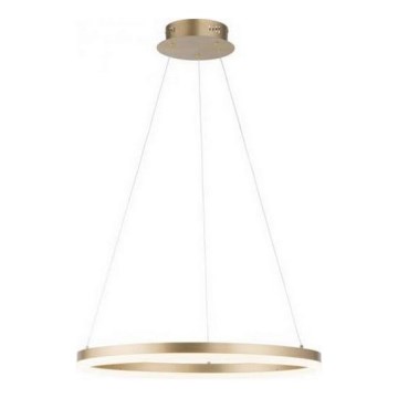 Paul Neuhaus 2382-60 - Himmennettävä LED-kattokruunu johdossa TITUS LED/38,5W/230V