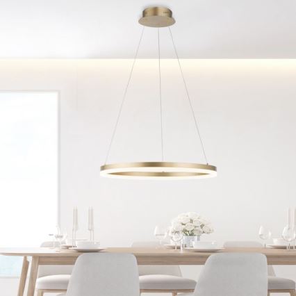 Paul Neuhaus 2382-60 - Himmennettävä LED-kattokruunu johdossa TITUS LED/38,5W/230V