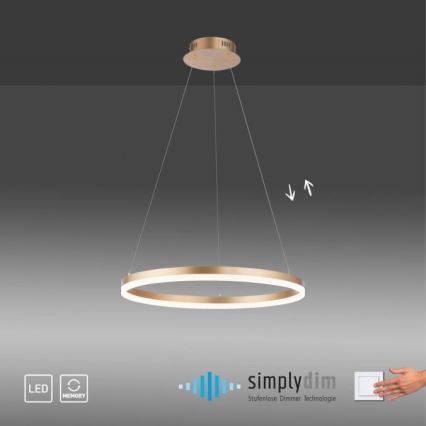 Paul Neuhaus 2382-60 - Himmennettävä LED-kattokruunu johdossa TITUS LED/38,5W/230V
