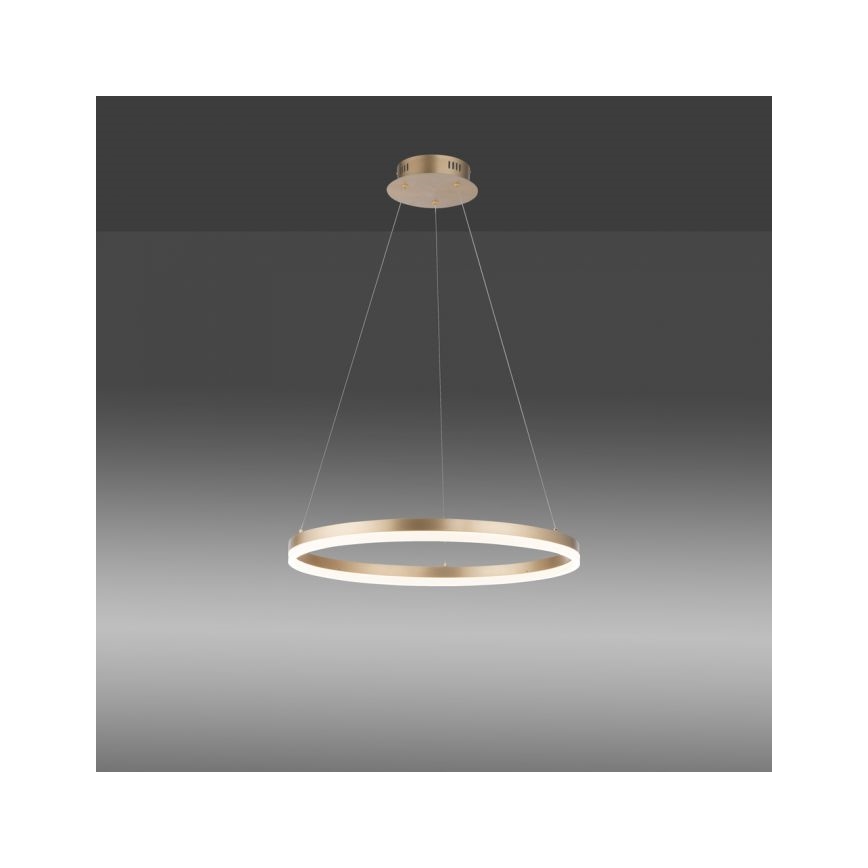 Paul Neuhaus 2382-60 - Himmennettävä LED-kattokruunu johdossa TITUS LED/38,5W/230V