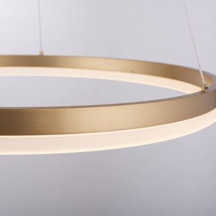 Paul Neuhaus 2382-60 - Himmennettävä LED-kattokruunu johdossa TITUS LED/38,5W/230V