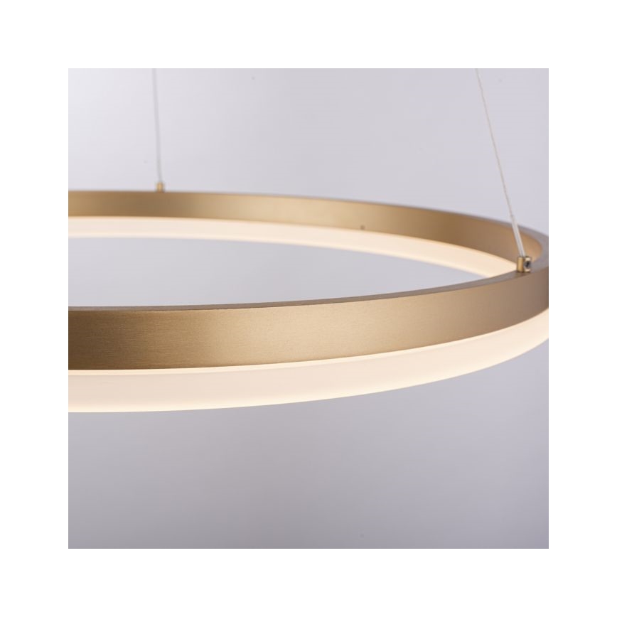 Paul Neuhaus 2382-60 - Himmennettävä LED-kattokruunu johdossa TITUS LED/38,5W/230V