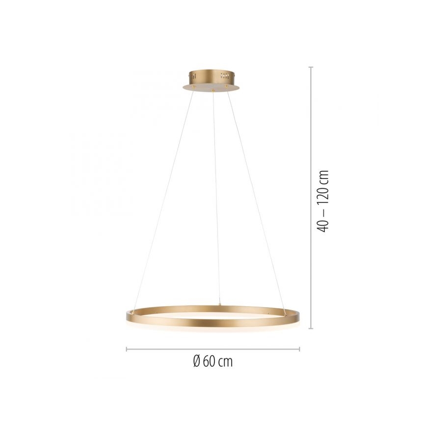 Paul Neuhaus 2382-60 - Himmennettävä LED-kattokruunu johdossa TITUS LED/38,5W/230V
