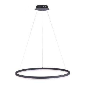 Paul Neuhaus 2383-13 - LED-himmennettävä riippuvalaisin TITUS LED / 50W / 230V