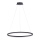 Paul Neuhaus 2383-13 - LED-himmennettävä riippuvalaisin TITUS LED / 50W / 230V