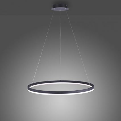 Paul Neuhaus 2383-13 - LED-himmennettävä riippuvalaisin TITUS LED / 50W / 230V