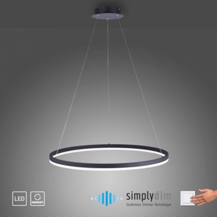 Paul Neuhaus 2383-13 - LED-himmennettävä riippuvalaisin TITUS LED / 50W / 230V