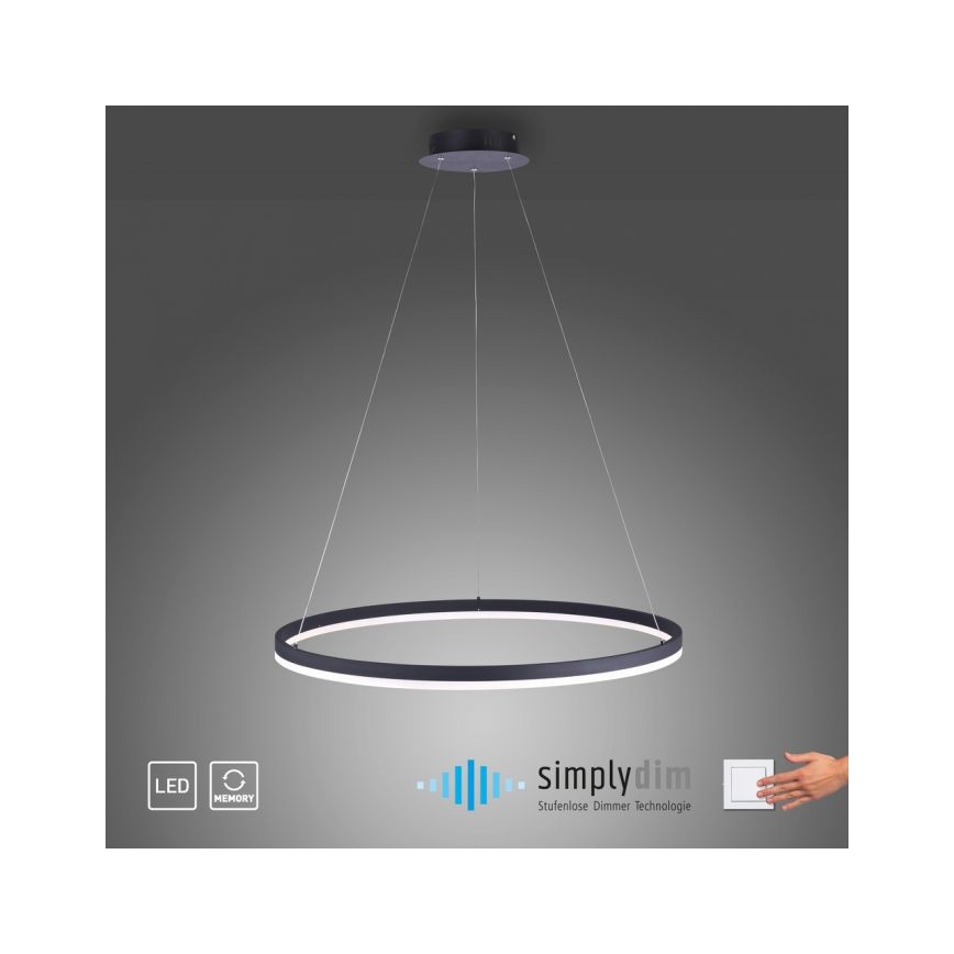 Paul Neuhaus 2383-13 - LED-himmennettävä riippuvalaisin TITUS LED / 50W / 230V