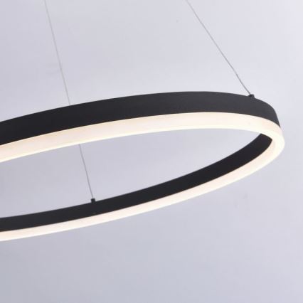 Paul Neuhaus 2383-13 - LED-himmennettävä riippuvalaisin TITUS LED / 50W / 230V