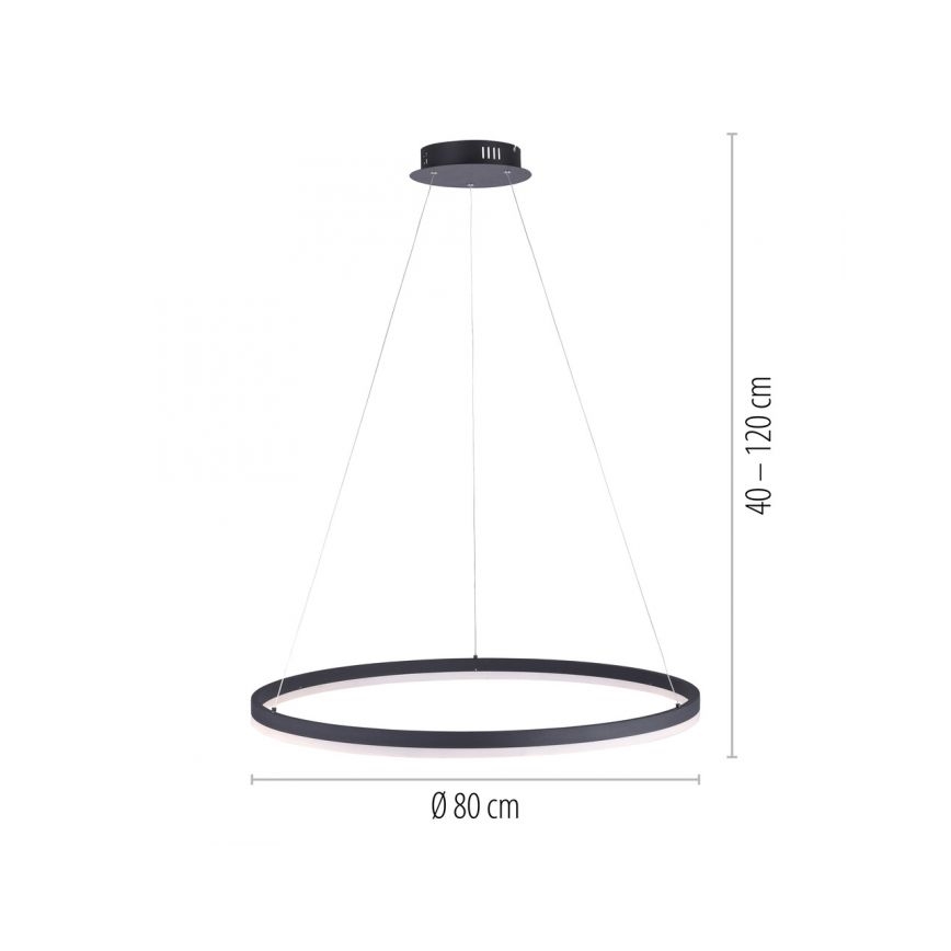 Paul Neuhaus 2383-13 - LED-himmennettävä riippuvalaisin TITUS LED / 50W / 230V