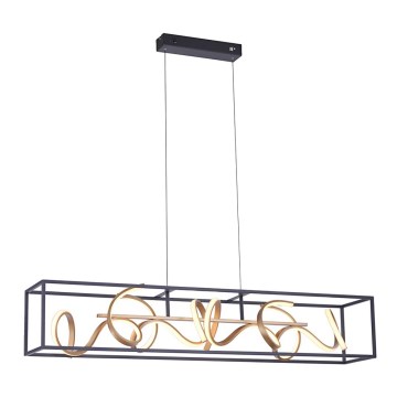 Paul Neuhaus 2416-18 - Himmennettävä LED-kattokruunu narussa SELINA 4xLED/10,2W/230V