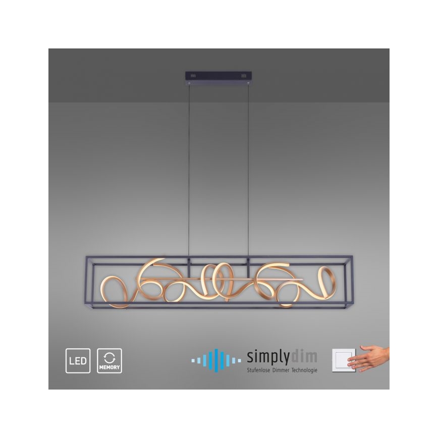 Paul Neuhaus 2416-18 - Himmennettävä LED-kattokruunu narussa SELINA 4xLED/10,2W/230V