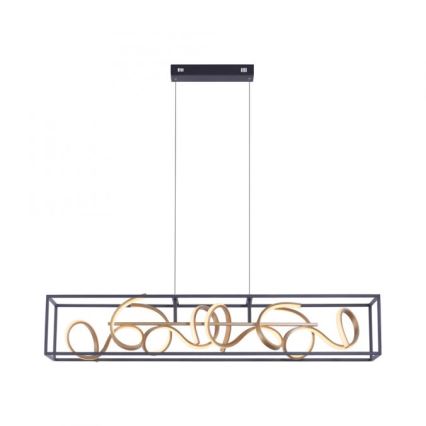 Paul Neuhaus 2416-18 - Himmennettävä LED-kattokruunu narussa SELINA 4xLED/10,2W/230V