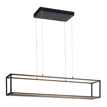 Paul Neuhaus 2441-18 - LED Himmennettävä kattokruunu narussa CONTURA 4xLED/8W/230V