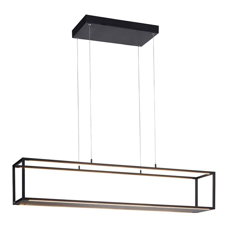 Paul Neuhaus 2441-18 - LED Himmennettävä kattokruunu narussa CONTURA 4xLED/8W/230V